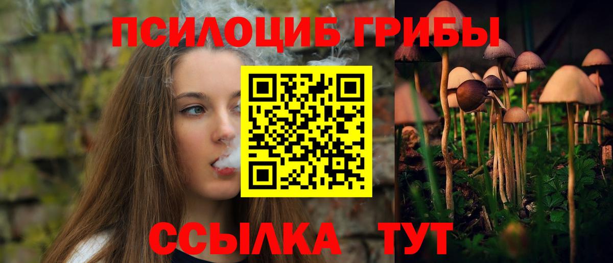 Псилоцибиновые грибы мицелий  Галлюциногенные грибы Cubensis  Вход с VPN  Копейск 
